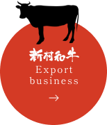 Export business